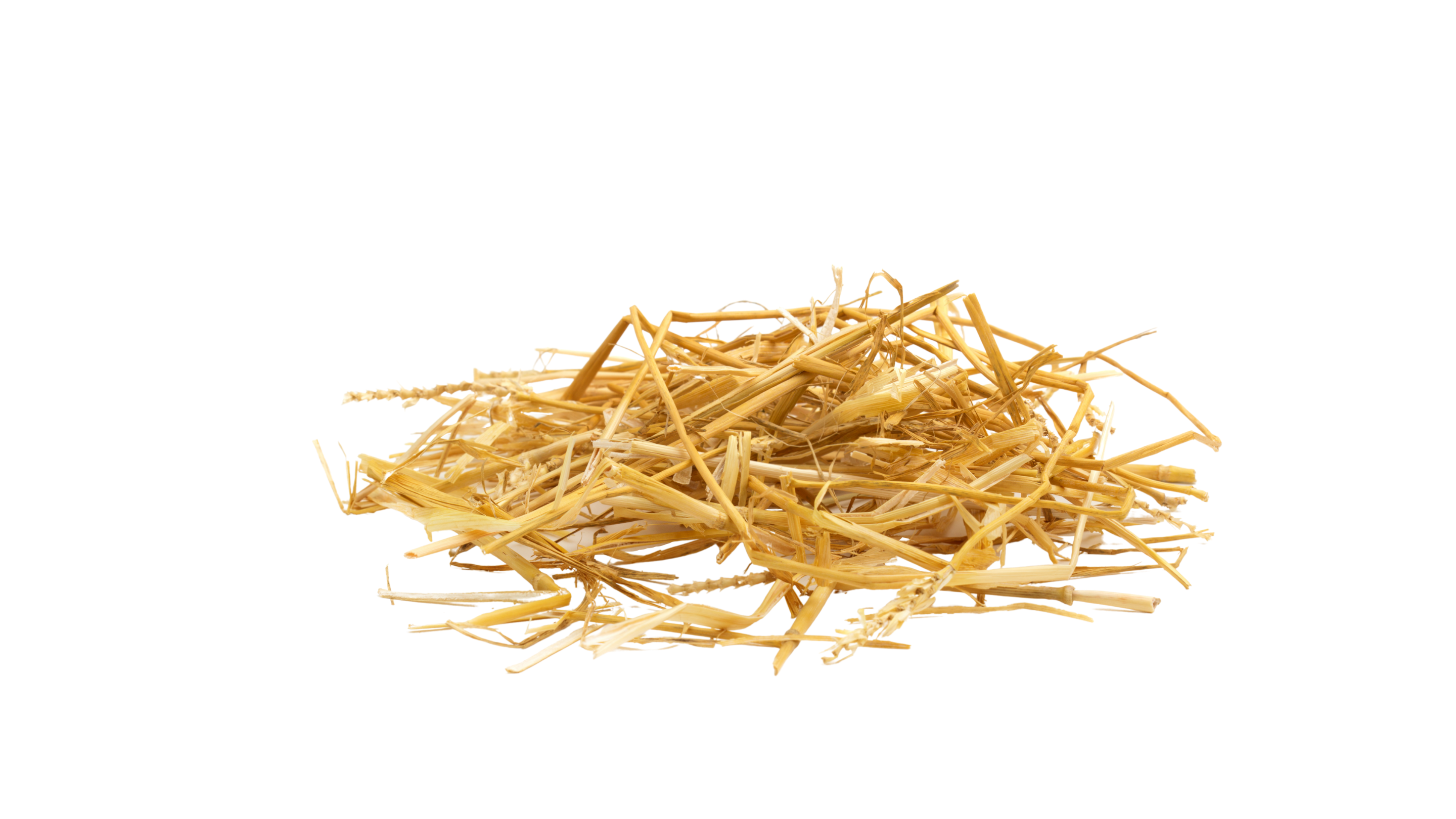 Welkom bij het Lansingerland  Wij bieden talloze mogelijkheden en leveren graag maatwerk. Of het nu gaat om de producten uit de landwinkel of een offerte voor een vergadering. Laat ons weten wat uw wensen zijn.  Vul het onderstaande contactformulier in of bel als u het prettiger vindt om direct in contact te komen met een van onze medewerkers.