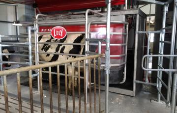 Hier wordt gemolken met een lely robot